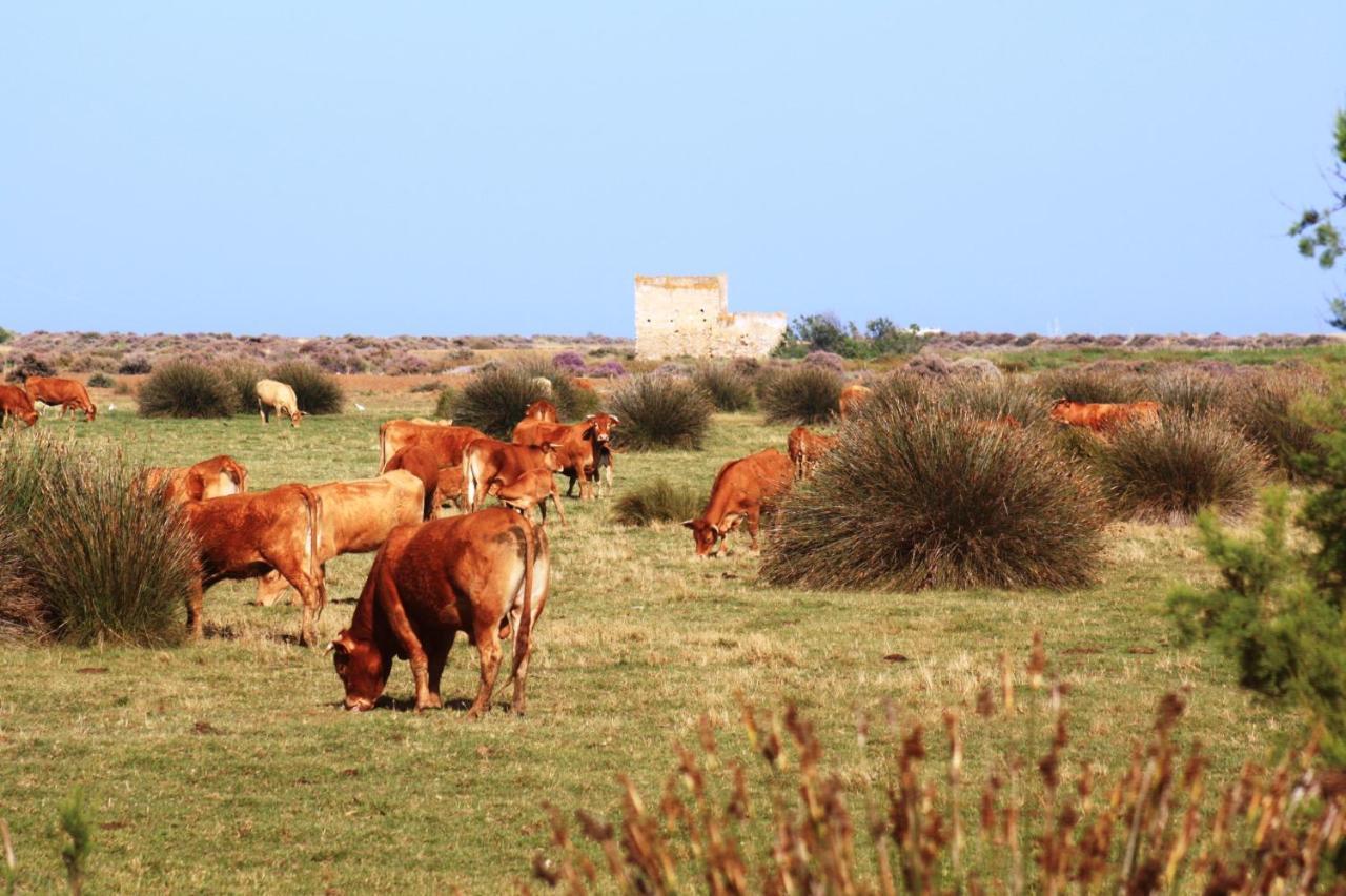 Herdade Dos Salgados Do Fialho Faro Exterior photo