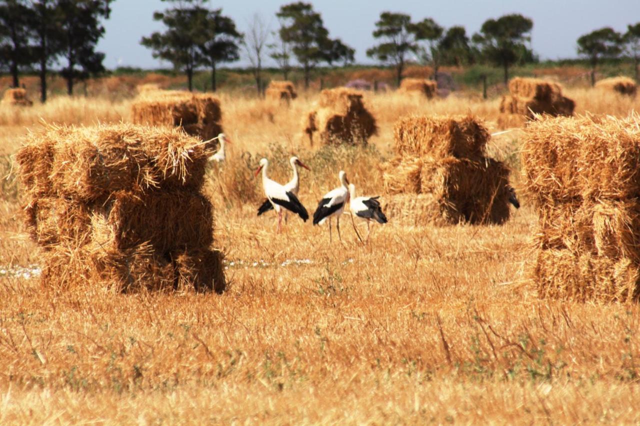 Herdade Dos Salgados Do Fialho Faro Exterior photo
