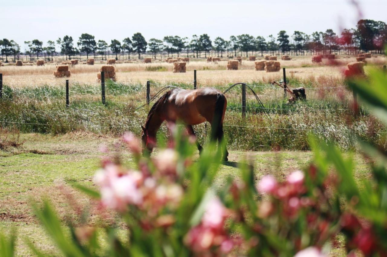 Herdade Dos Salgados Do Fialho Faro Exterior photo