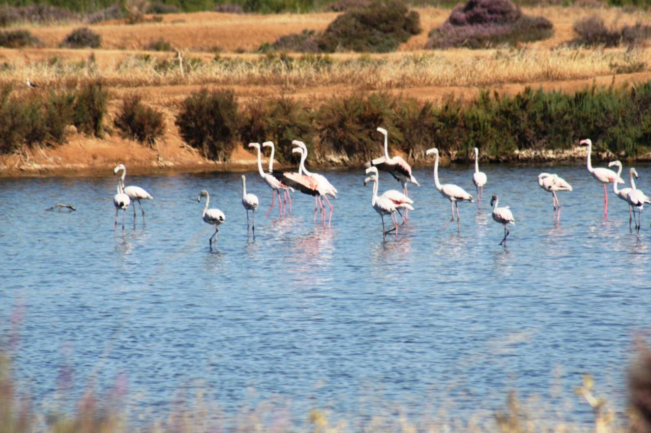 Herdade Dos Salgados Do Fialho Faro Exterior photo