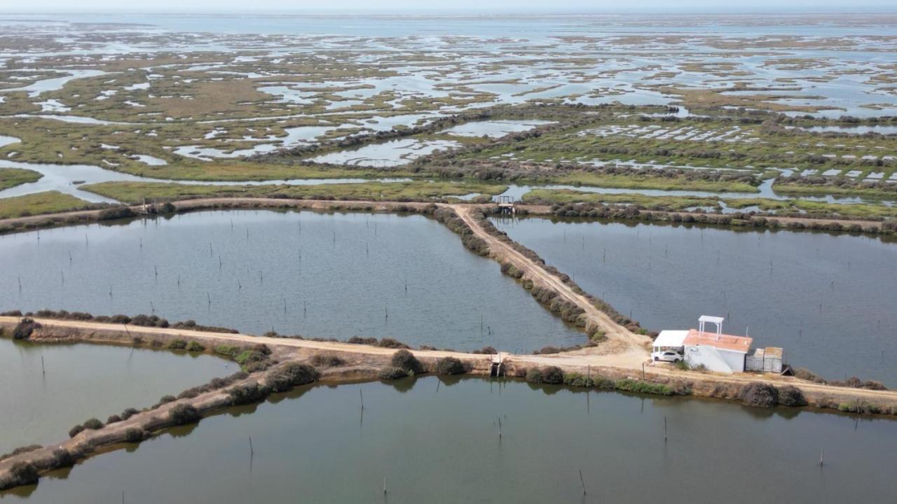 Herdade Dos Salgados Do Fialho Faro Exterior photo