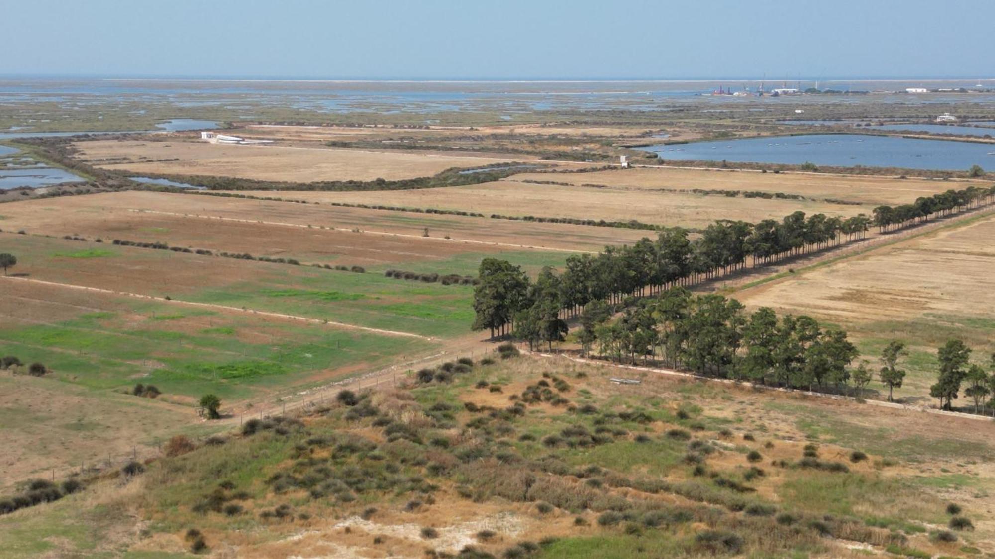 Herdade Dos Salgados Do Fialho Faro Exterior photo